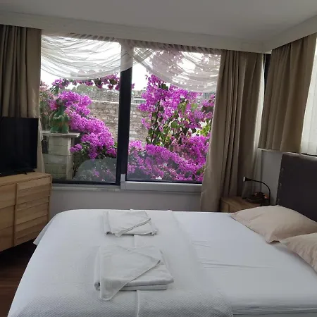 Romantic Mansion Apartment