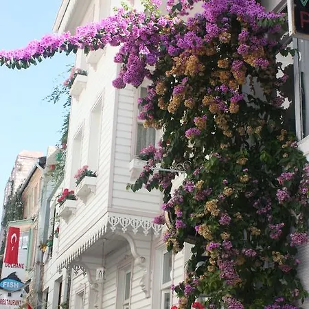 Romantic Mansion * İstanbul