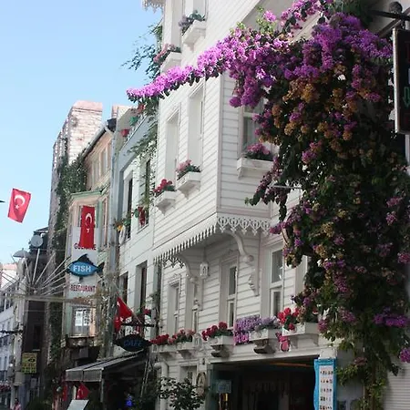 Daire Romantic Mansion *