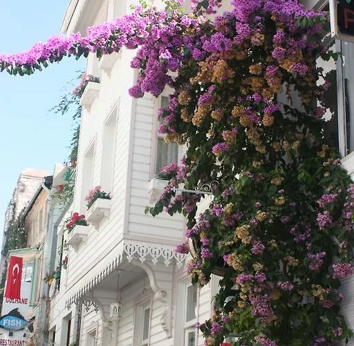 Romantic Mansion * Istanbul